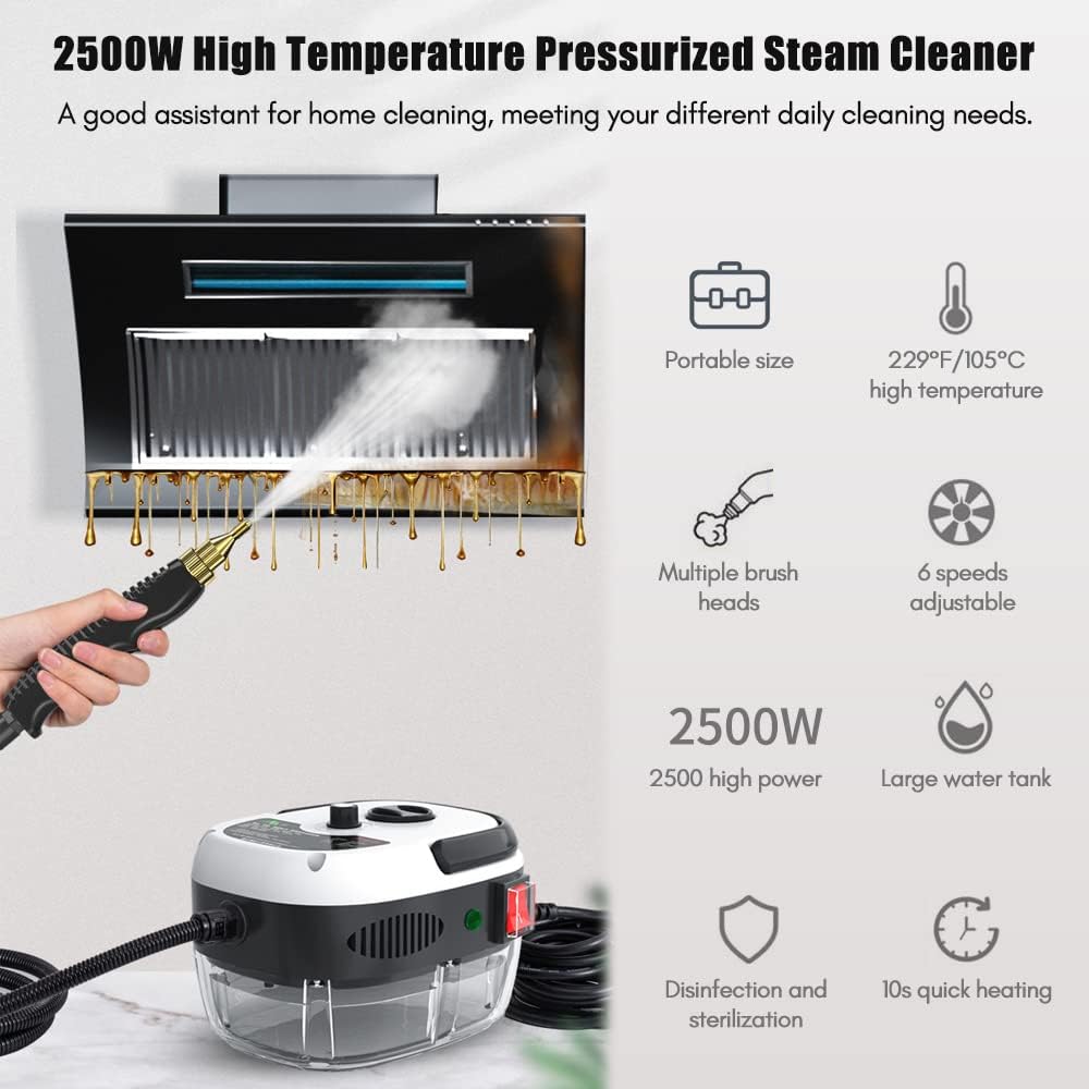Steam Cleaner